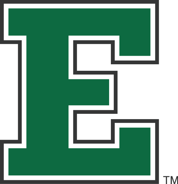Eastern Michigan Eagles 1995-2001 Alternate Logo v3 diy iron on heat transfer